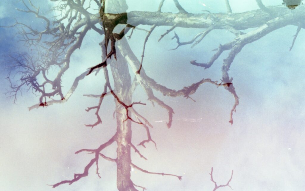 electrotherapy for pain relief nerve pathway under microscope at Well Rooted Health