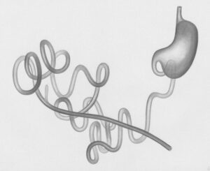 diagram illustrating the IBS gut-brain connection and nervous system pathways