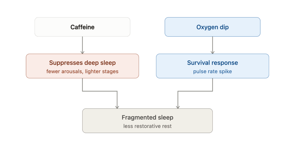 Caffeine and sleep: two mechanisms that fragment deep sleep.