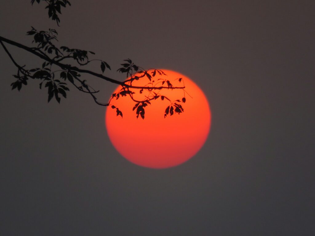 orange sunset representing sleep optimization and overnight recovery at Well Rooted Health